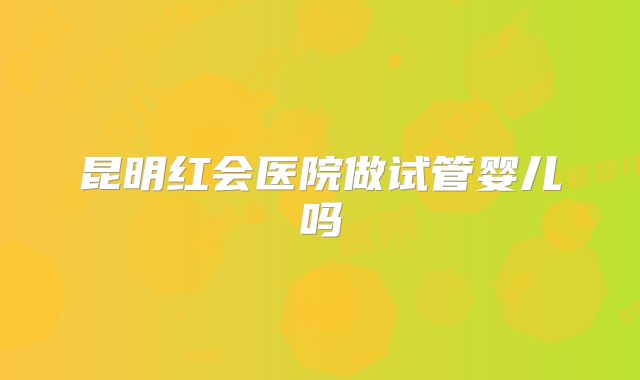 昆明红会医院做试管婴儿吗