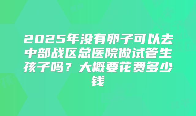 2025年没有卵子可以去中部战区总医院做试管生孩子吗?大概要花费多少钱