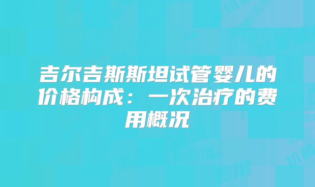 吉尔吉斯斯坦试管婴儿的价格构成：一次治疗的费用概况