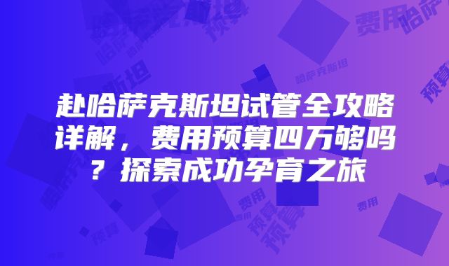 赴哈萨克斯坦试管全攻略详解，费用预算四万够吗？探索成功孕育之旅