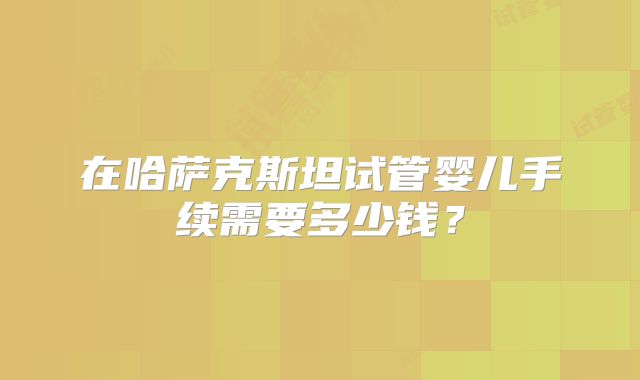 在哈萨克斯坦试管婴儿手续需要多少钱？