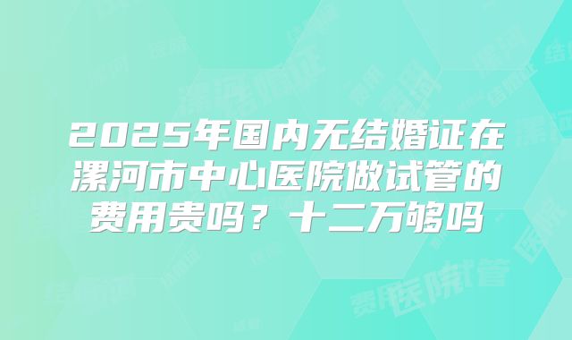 2025年国内无结婚证在漯河市中心医院做试管的费用贵吗?十二万够吗