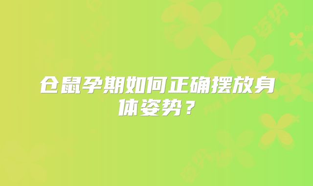 仓鼠孕期如何正确摆放身体姿势?
