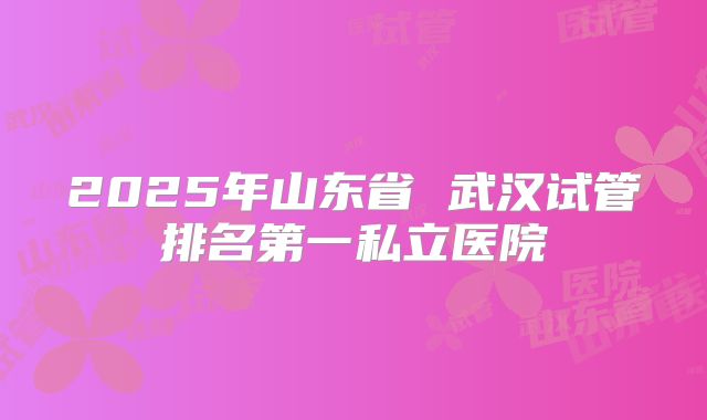 2025年山东省 武汉试管排名第一私立医院