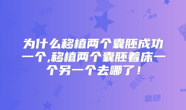 为什么移植两个囊胚成功一个,移植两个囊胚着床一个另一个去哪了!