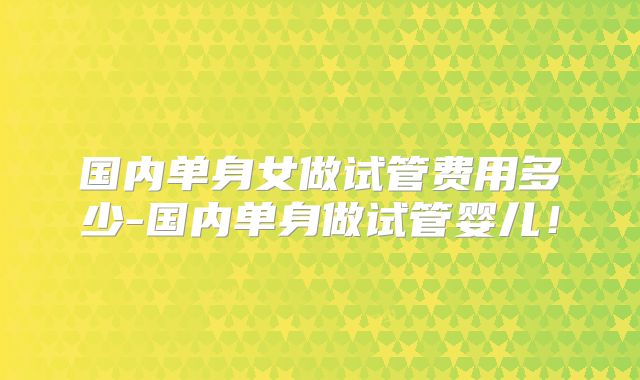 国内单身女做试管费用多少-国内单身做试管婴儿！