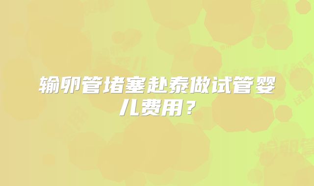 输卵管堵塞赴泰做试管婴儿费用？