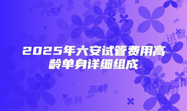 2025年六安试管费用高龄单身详细组成