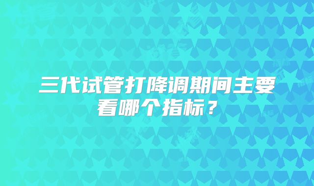 三代试管打降调期间主要看哪个指标？