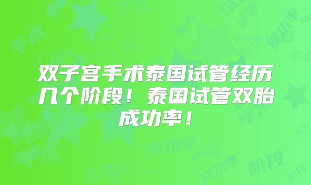 双子宫手术泰国试管经历几个阶段！泰国试管双胎成功率！