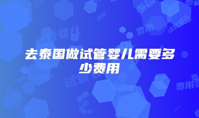 去泰国做试管婴儿需要多少费用