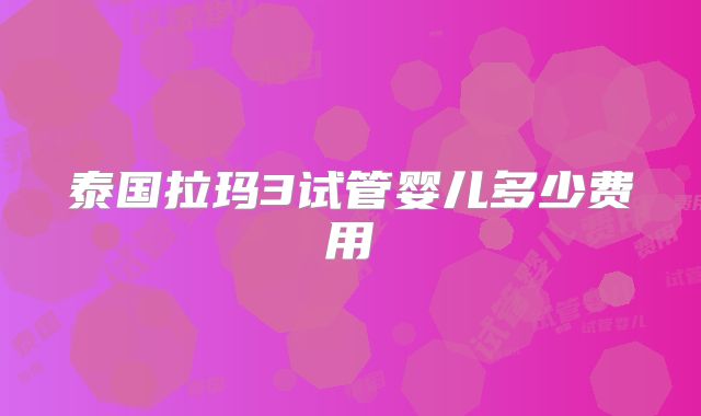 泰国拉玛3试管婴儿多少费用