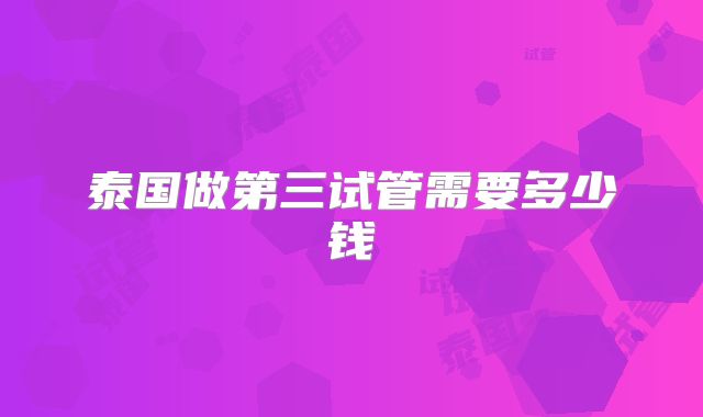 泰国做第三试管需要多少钱