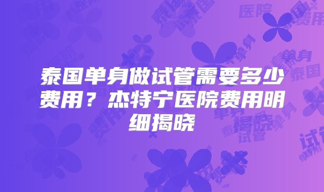 泰国单身做试管需要多少费用？杰特宁医院费用明细揭晓