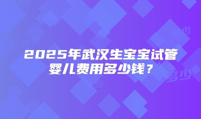 2025年武汉生宝宝试管婴儿费用多少钱?