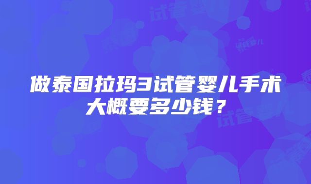 做泰国拉玛3试管婴儿手术大概要多少钱？