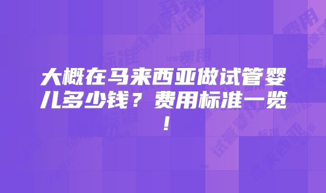 大概在马来西亚做试管婴儿多少钱？费用标准一览！