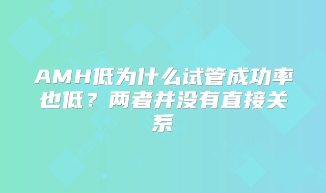 AMH低为什么试管成功率也低？两者并没有直接关系
