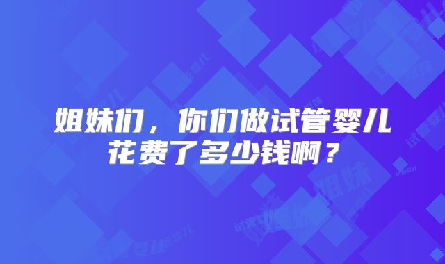 姐妹们，你们做试管婴儿花费了多少钱啊？