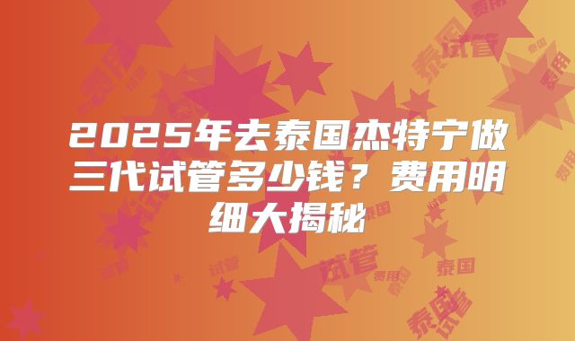 2025年去泰国杰特宁做三代试管多少钱？费用明细大揭秘
