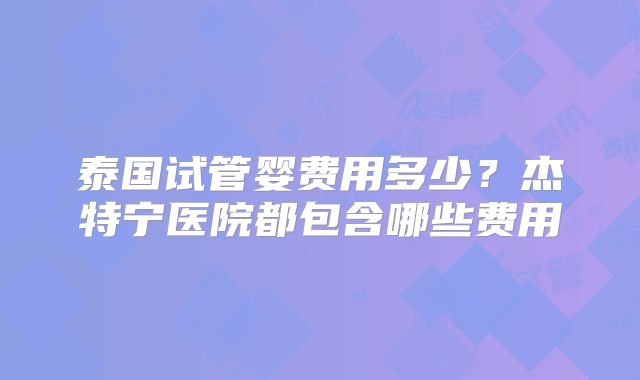 泰国试管婴费用多少？杰特宁医院都包含哪些费用
