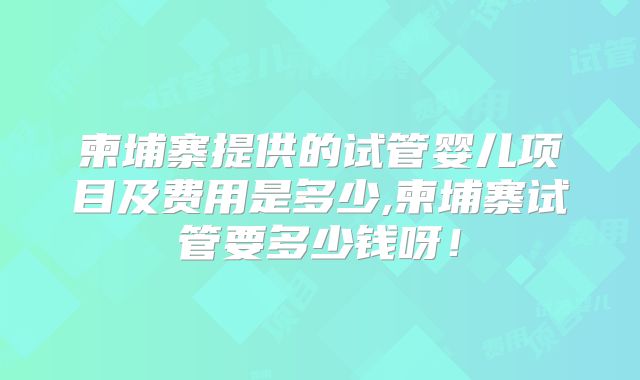 柬埔寨提供的试管婴儿项目及费用是多少,柬埔寨试管要多少钱呀！