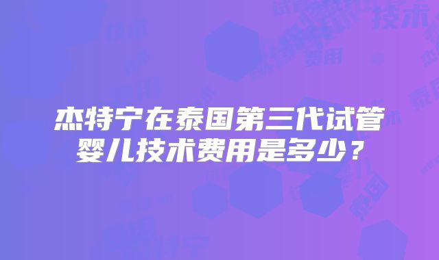 杰特宁在泰国第三代试管婴儿技术费用是多少？