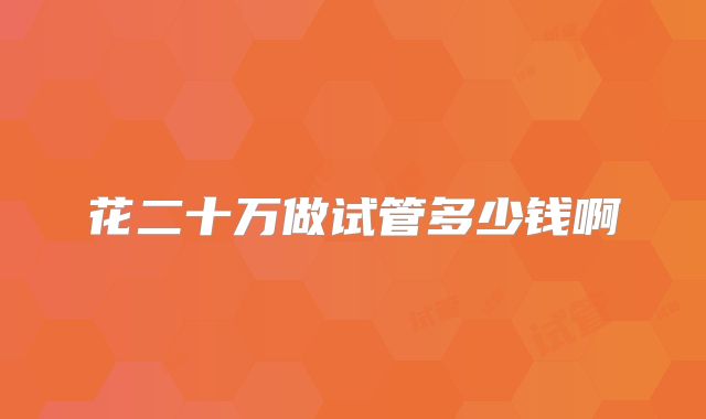 花二十万做试管多少钱啊