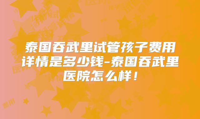 泰国吞武里试管孩子费用详情是多少钱-泰国吞武里医院怎么样!