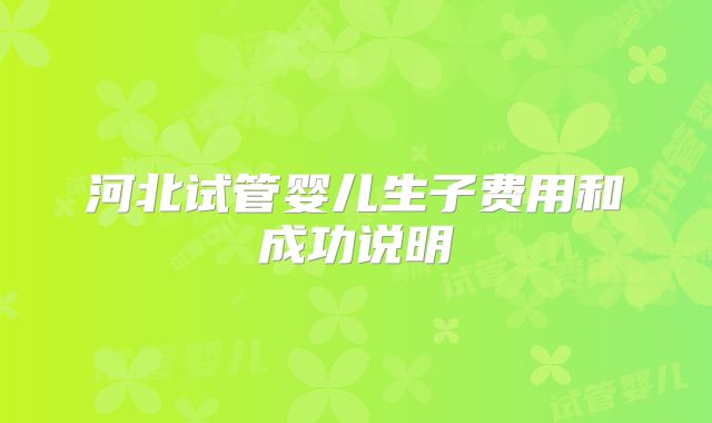 河北试管婴儿生子费用和成功说明
