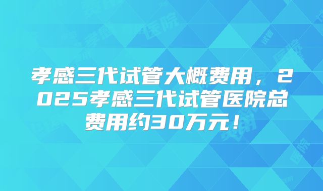 孝感三代试管大概费用，2025孝感三代试管医院总费用约30万元！