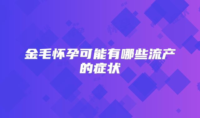 金毛怀孕可能有哪些流产的症状