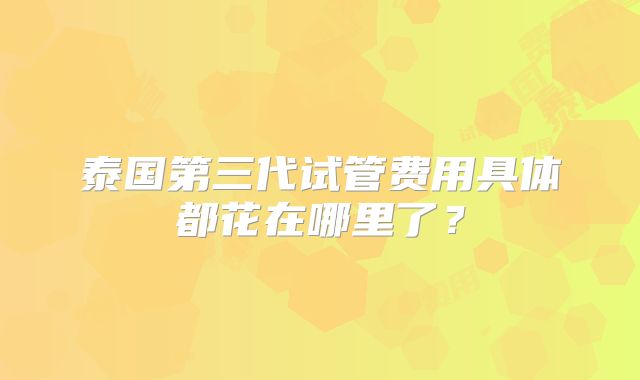 泰国第三代试管费用具体都花在哪里了？