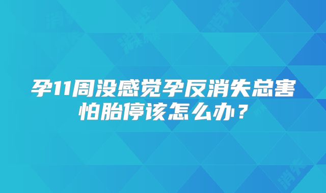 孕11周没感觉孕反消失总害怕胎停该怎么办?