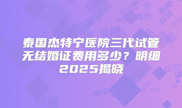 泰国杰特宁医院三代试管无结婚证费用多少？明细2025揭晓