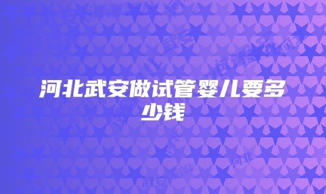 河北武安做试管婴儿要多少钱