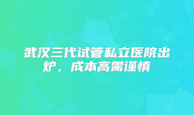 武汉三代试管私立医院出炉，成本高需谨慎