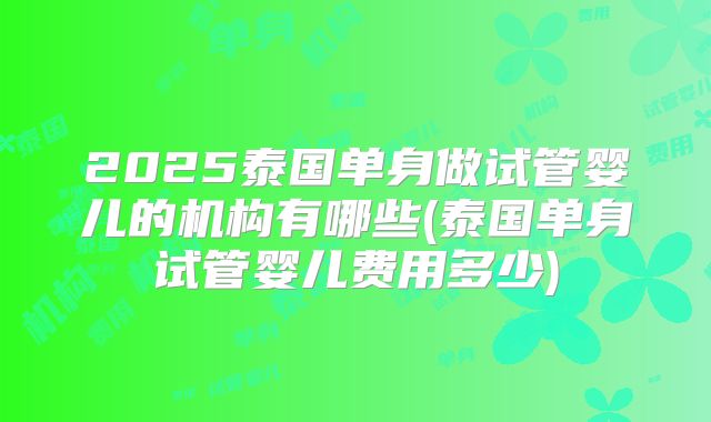 2025泰国单身做试管婴儿的机构有哪些(泰国单身试管婴儿费用多少)