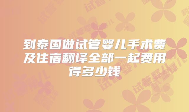 到泰国做试管婴儿手术费及住宿翻译全部一起费用得多少钱
