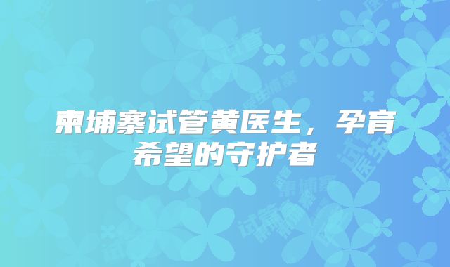 柬埔寨试管黄医生，孕育希望的守护者