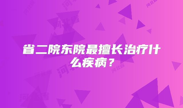 省二院东院最擅长治疗什么疾病?