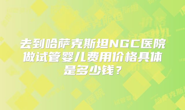去到哈萨克斯坦NGC医院做试管婴儿费用价格具体是多少钱？