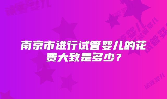 南京市进行试管婴儿的花费大致是多少？