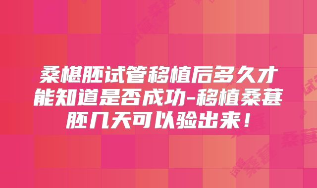 桑椹胚试管移植后多久才能知道是否成功-移植桑葚胚几天可以验出来!