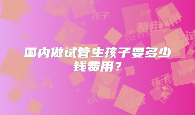 国内做试管生孩子要多少钱费用？
