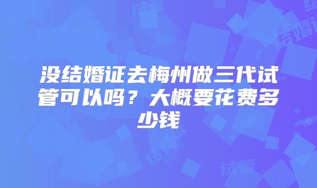 没结婚证去梅州做三代试管可以吗？大概要花费多少钱