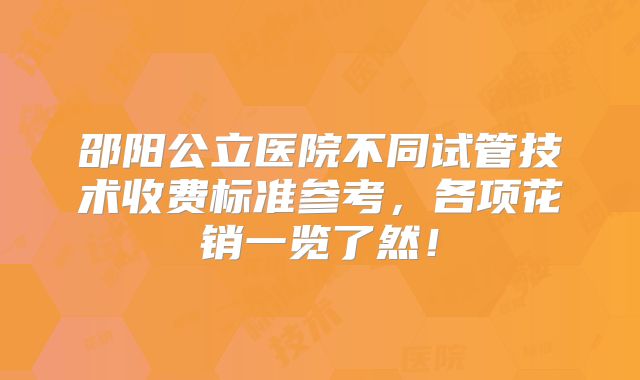 邵阳公立医院不同试管技术收费标准参考，各项花销一览了然！