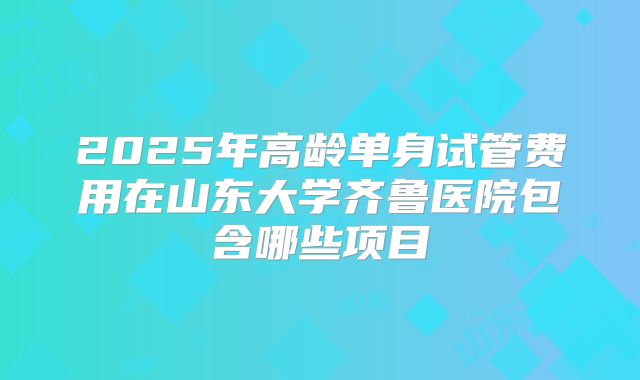 2025年高龄单身试管费用在山东大学齐鲁医院包含哪些项目
