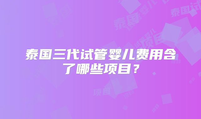 泰国三代试管婴儿费用含了哪些项目？