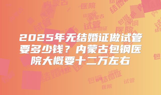 2025年无结婚证做试管要多少钱？内蒙古包钢医院大概要十二万左右